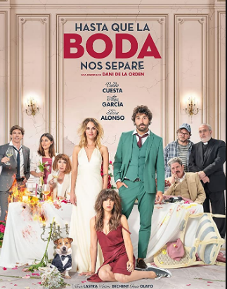 مشاهدة فيلم The Wedding Unplanner 2020 مترجم